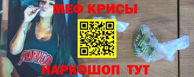 молекула духа Кингисепп