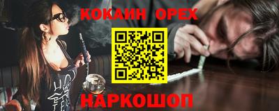 молекула духа Кингисепп