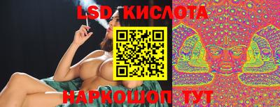 молекула духа Кингисепп