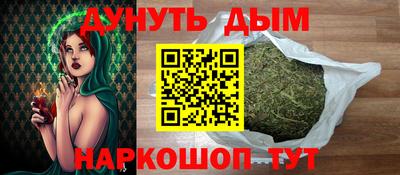 молекула духа Кингисепп