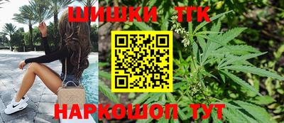 молекула духа Кингисепп
