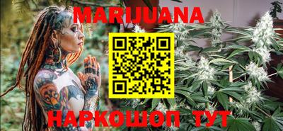 молекула духа Кингисепп