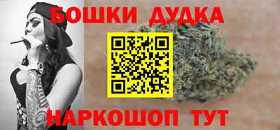 молекула духа Кингисепп