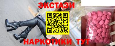 молекула духа Кингисепп