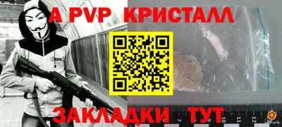 молекула духа Кингисепп