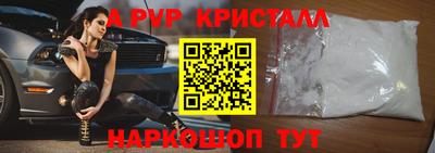 молекула духа Кингисепп