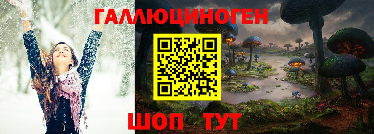 Волоколамск  Галлюциногенные грибы Psilocybine cubensis  Вход с VPN 